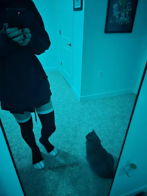 an older pic with the catto ^-^