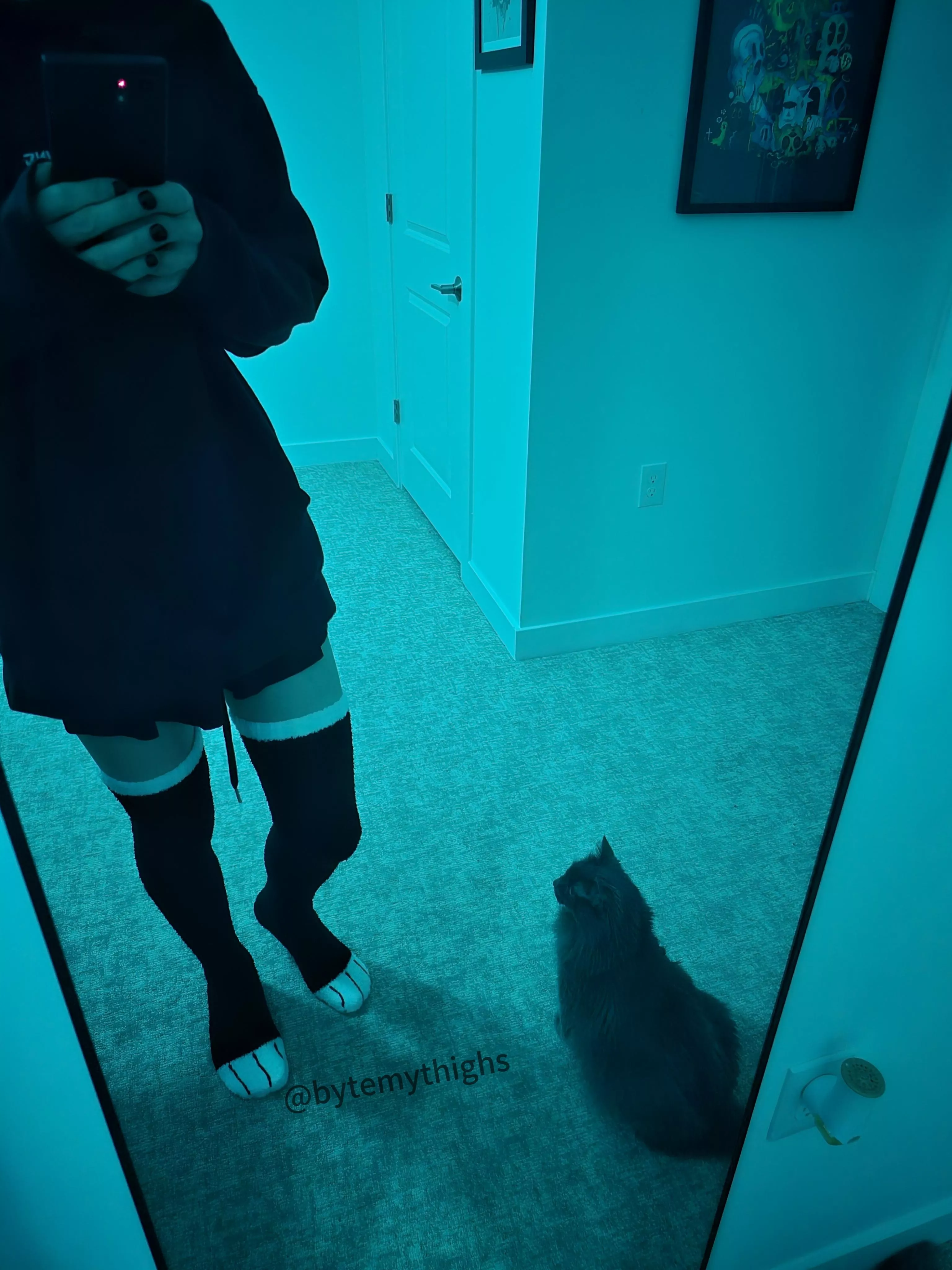 an older pic with the catto ^-^