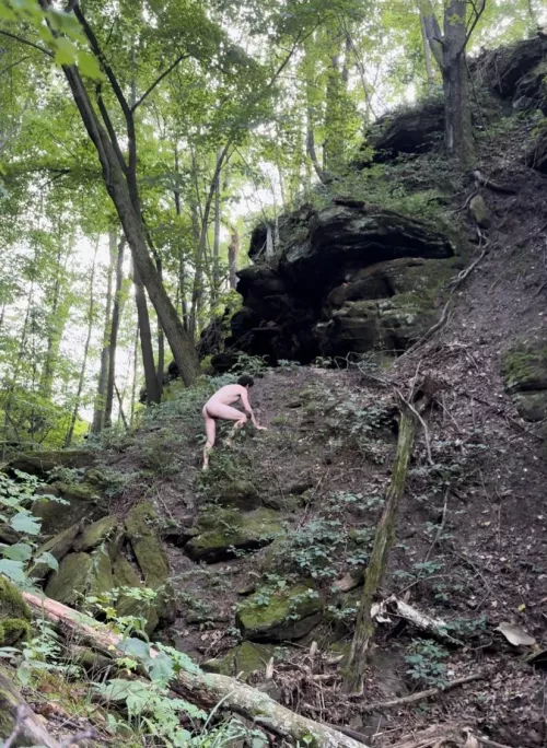 Exploring in the forest