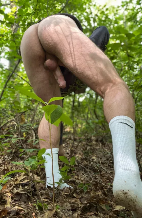 Had to stop mid hike to jerk it since I was so horny. Would you jerk it if you came across me??