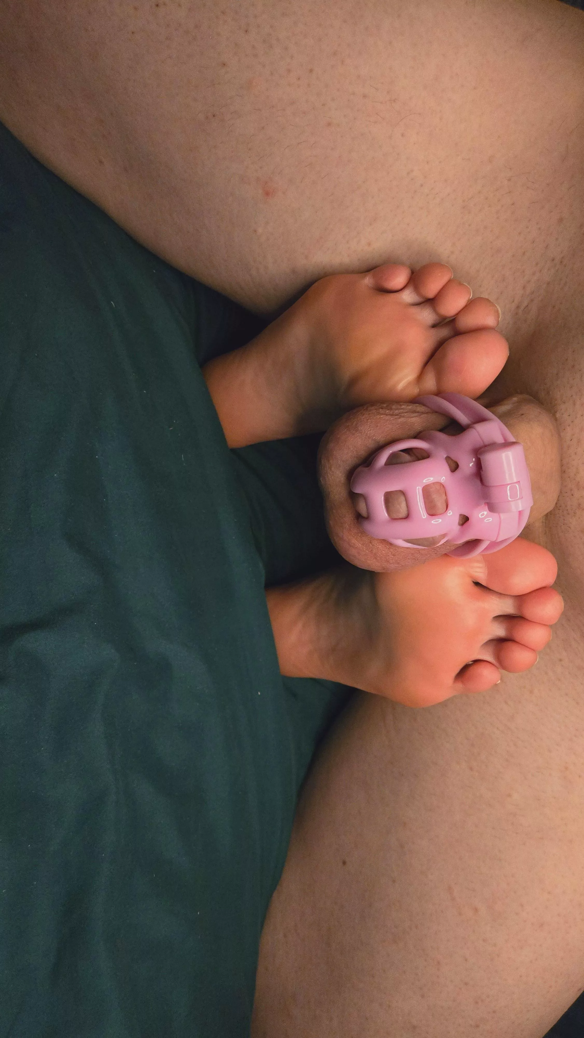 He wanted to be unlocked and milked. I wanted to take pictures of my feet with his tiny cage. Which do you think we did? 😊 