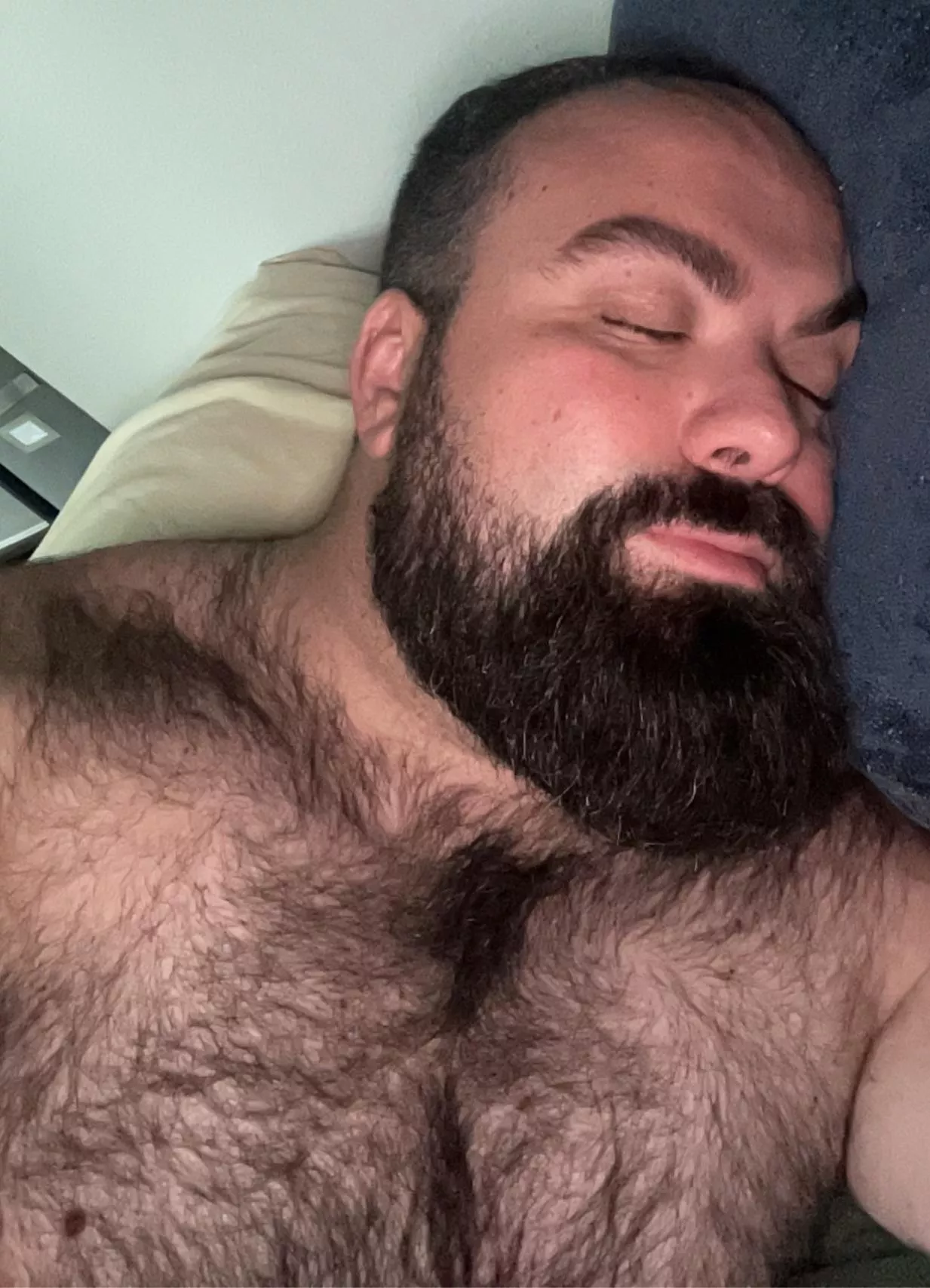 Just a sleepy bear - anyone wanna cuddle? 