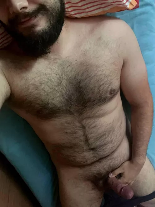 Just woke up, excuse the scruffy bearded look. I’d be in need of some help with this big hairy hard cock…