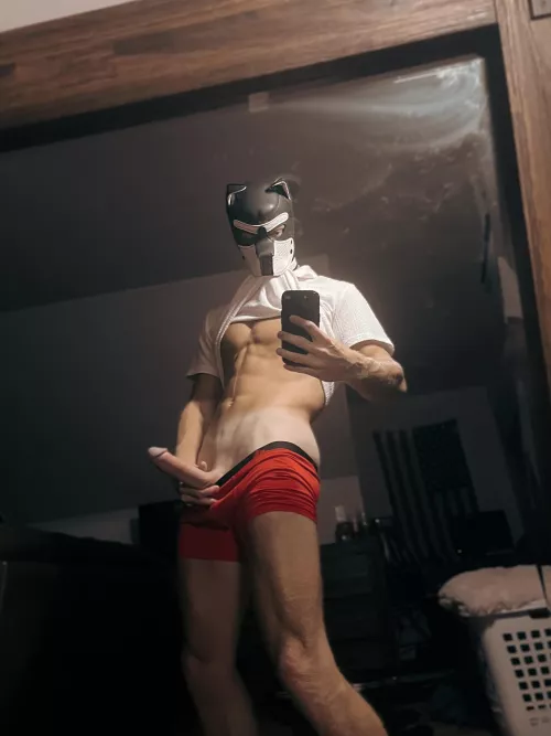 Mirror just happened to be there 🐺 