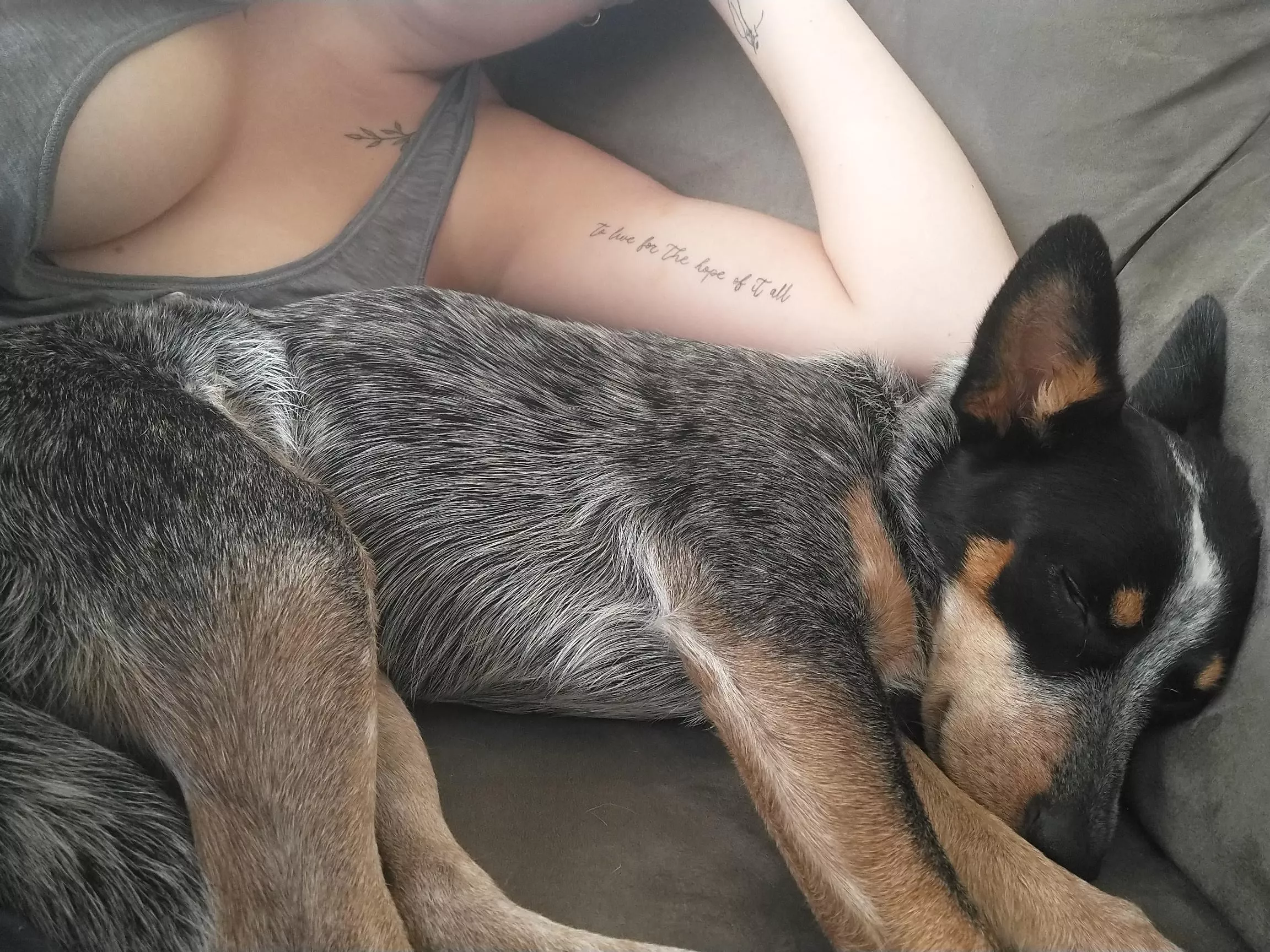 Morning cuddles with cutie