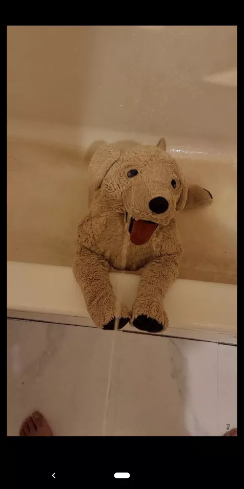 Plushie toilets anyone?