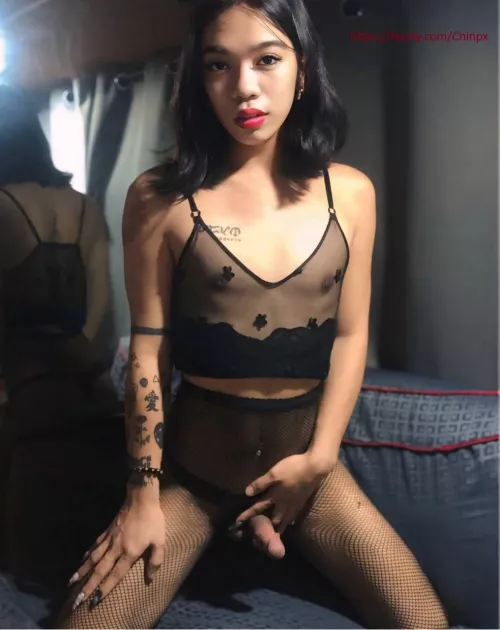 Say hi to cutie Chinpx