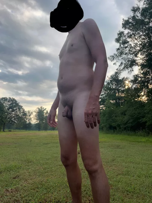 The cows didn’t mind