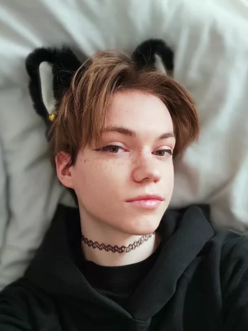 domesticated catboy :3