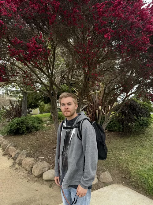 just here to say hi :)