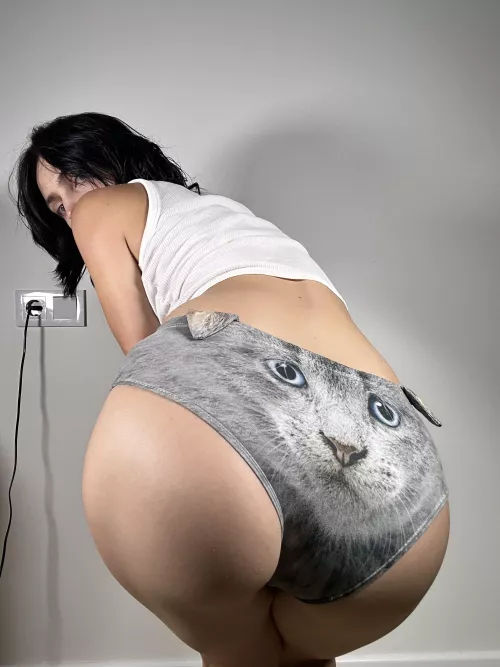 My butt's telling you to meow