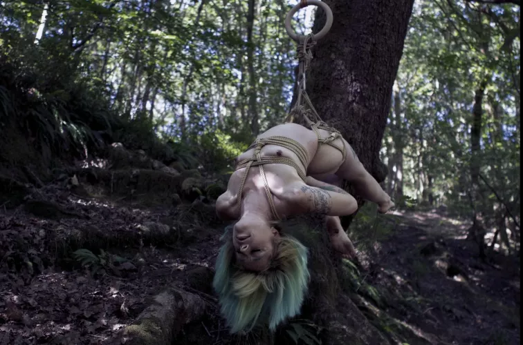 Some fun in the woods 