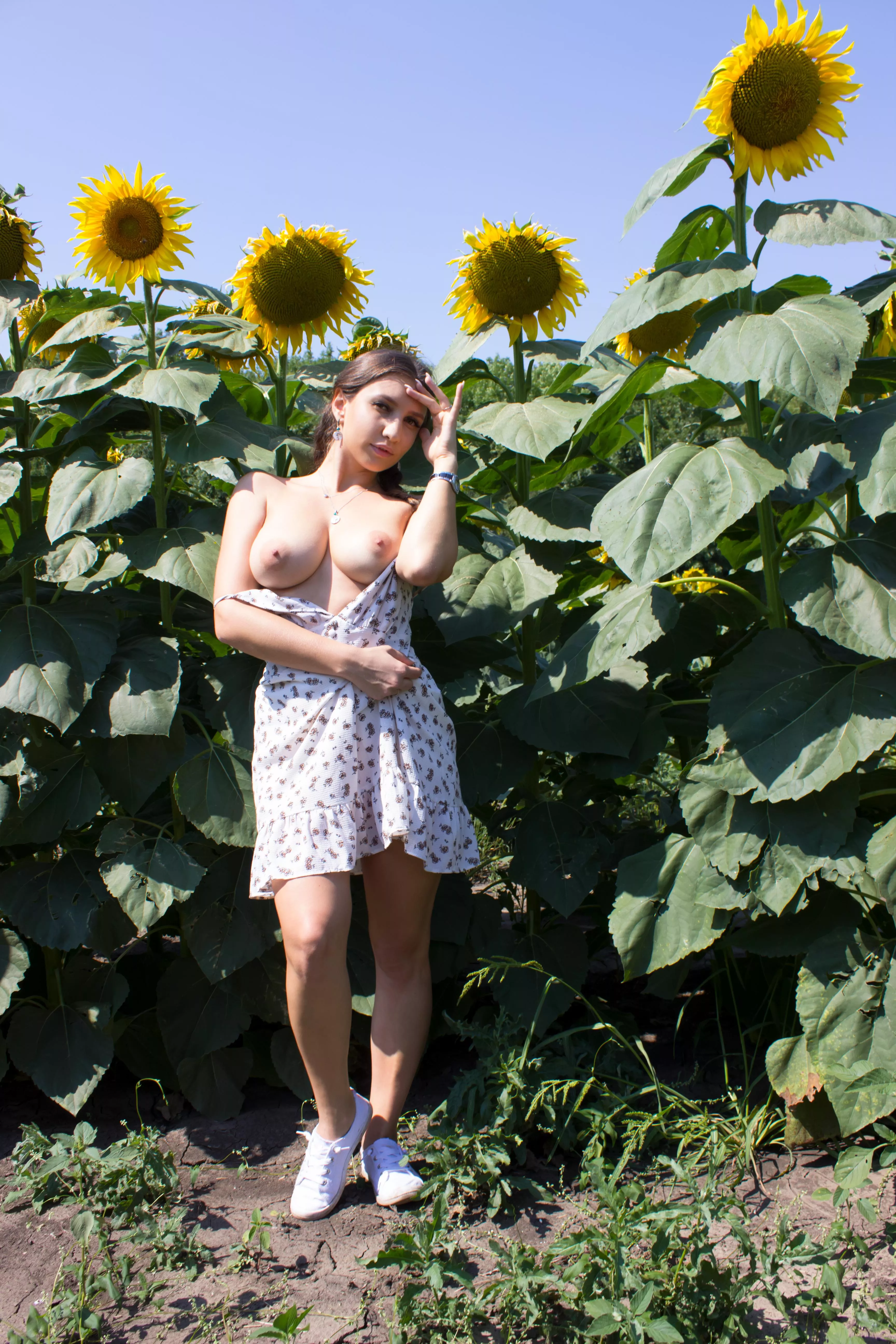 Will you pick flowers or stare at me?