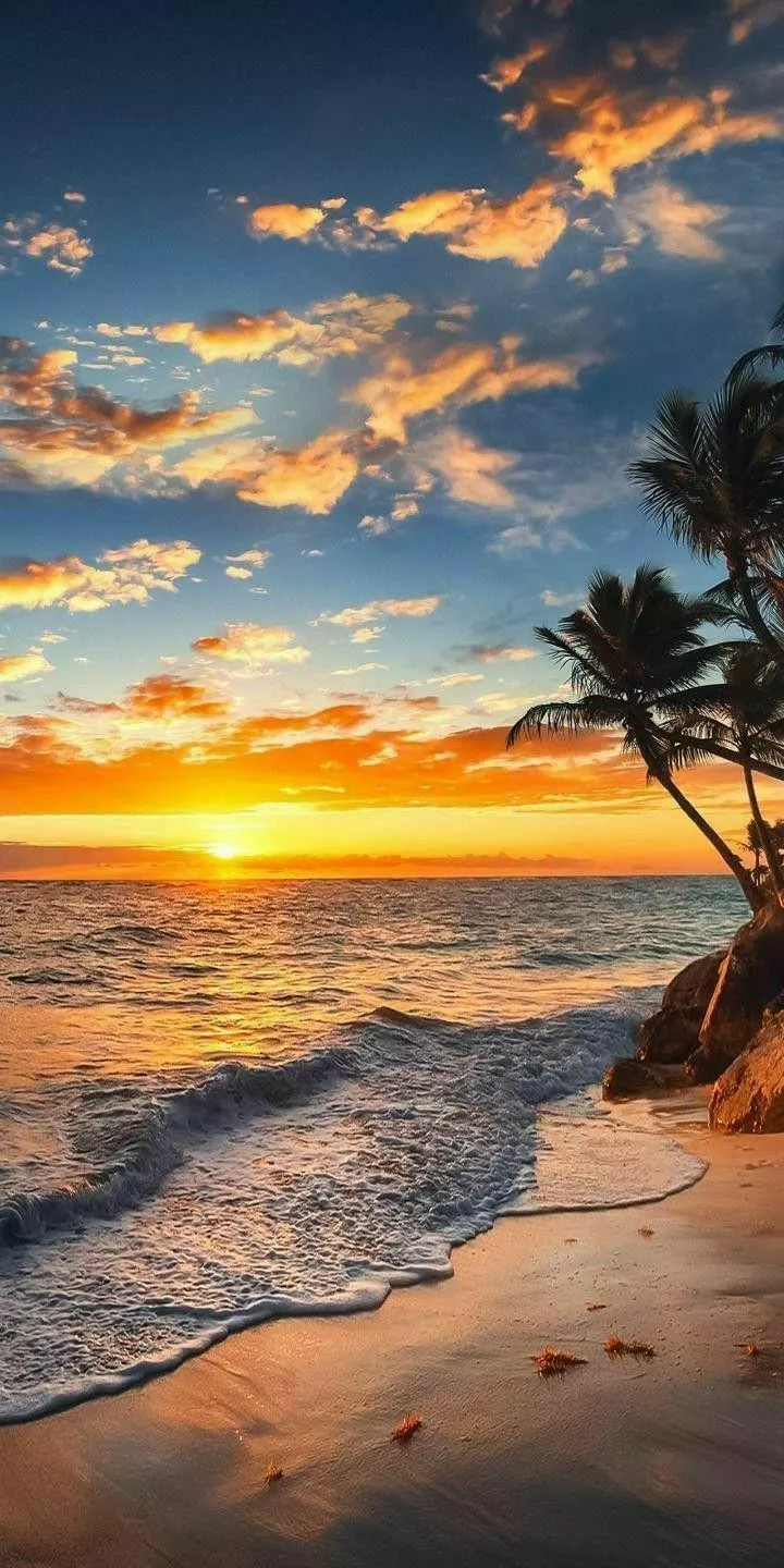 Beach therapy in session.