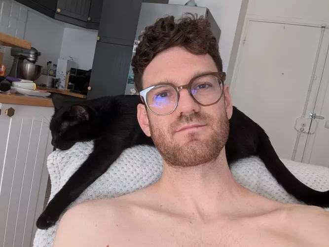 Ft sleepy cat and my kitchen