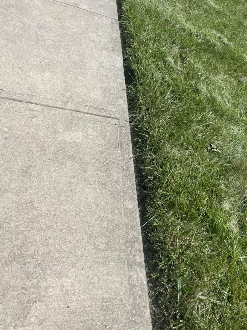 I’m pretty new to this how did i do?