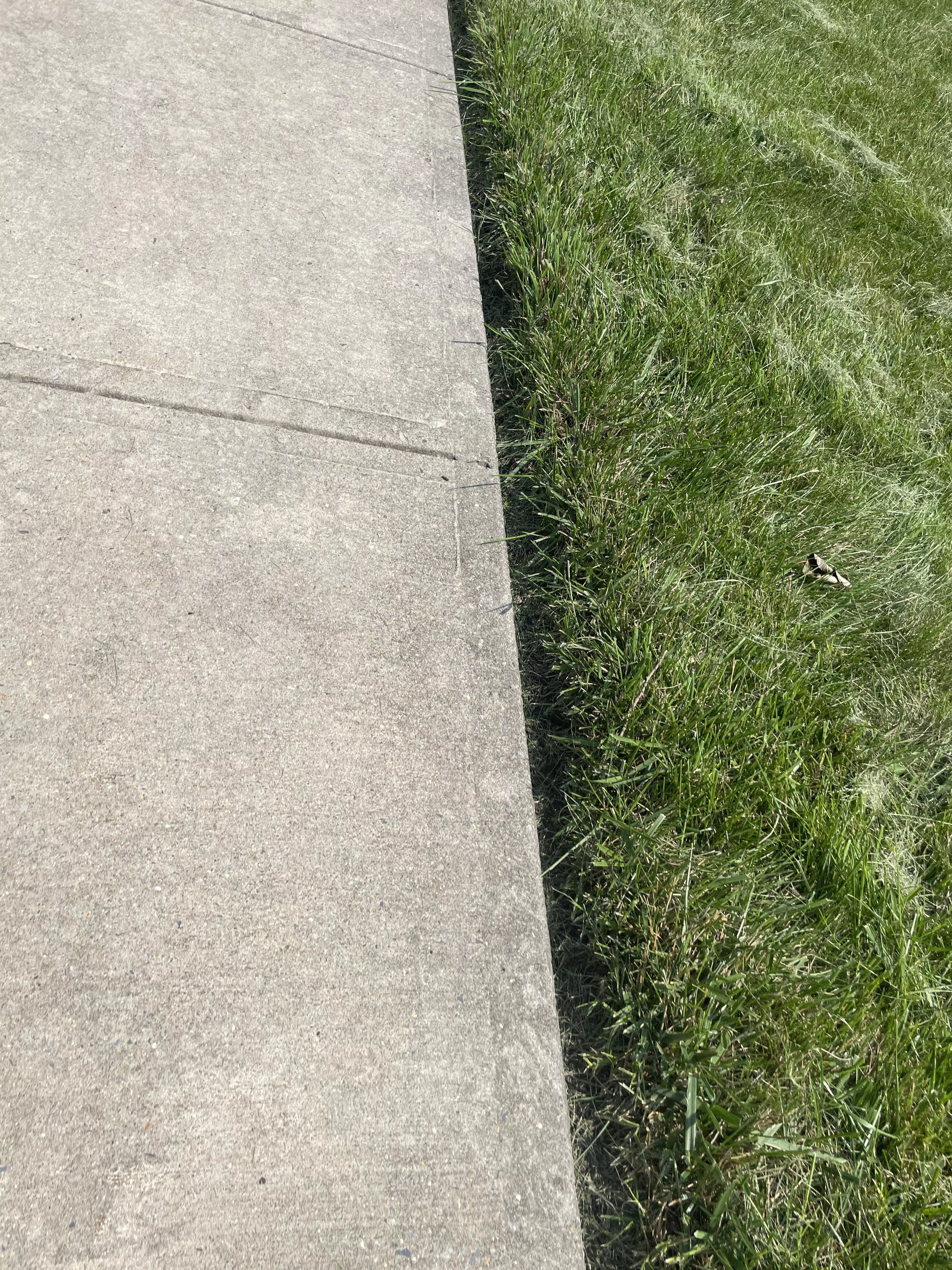 I’m pretty new to this how did i do?