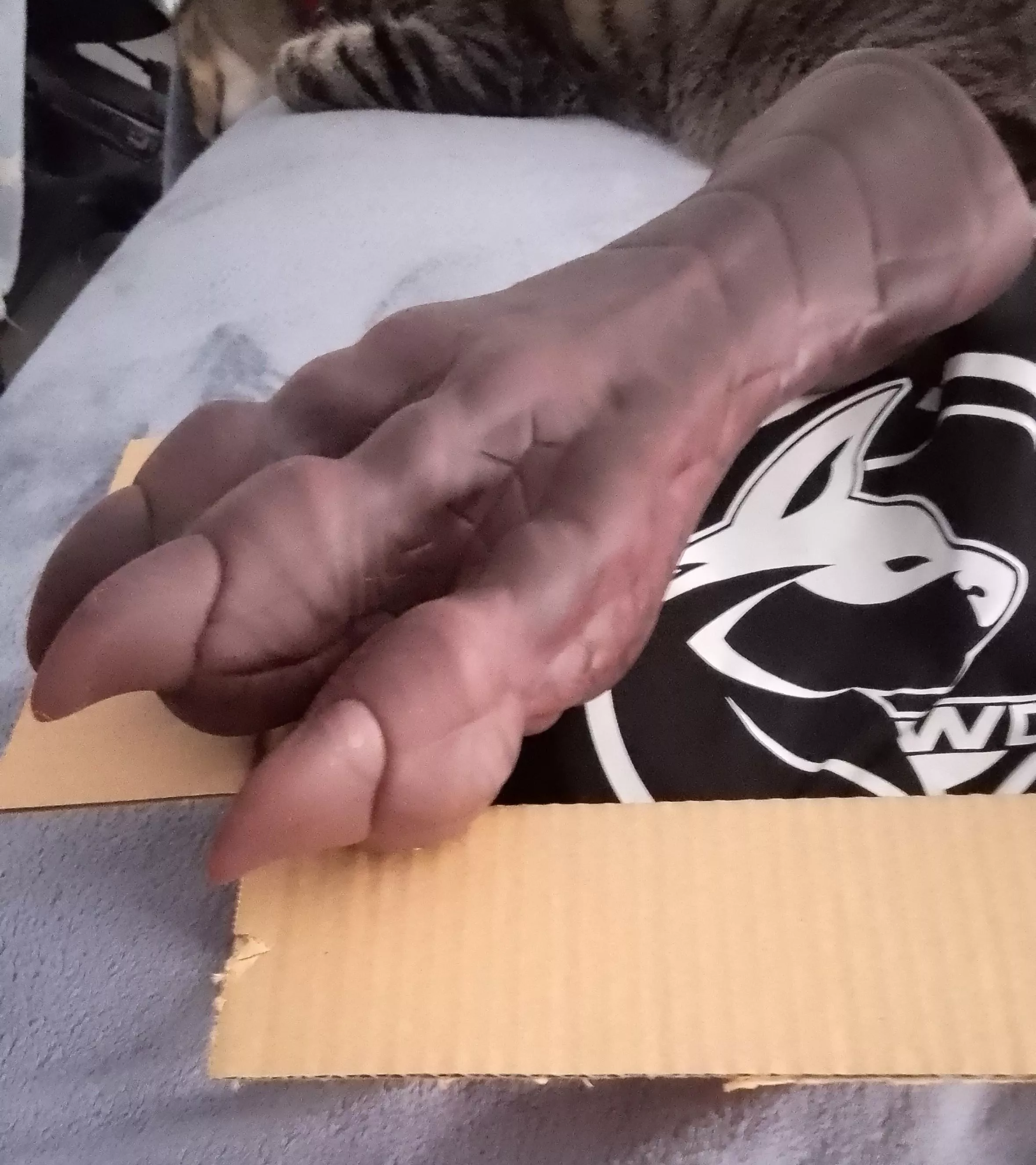 My Mason's Paw OS/s from Weredog in a yummy chocolate and coffee pour came today!