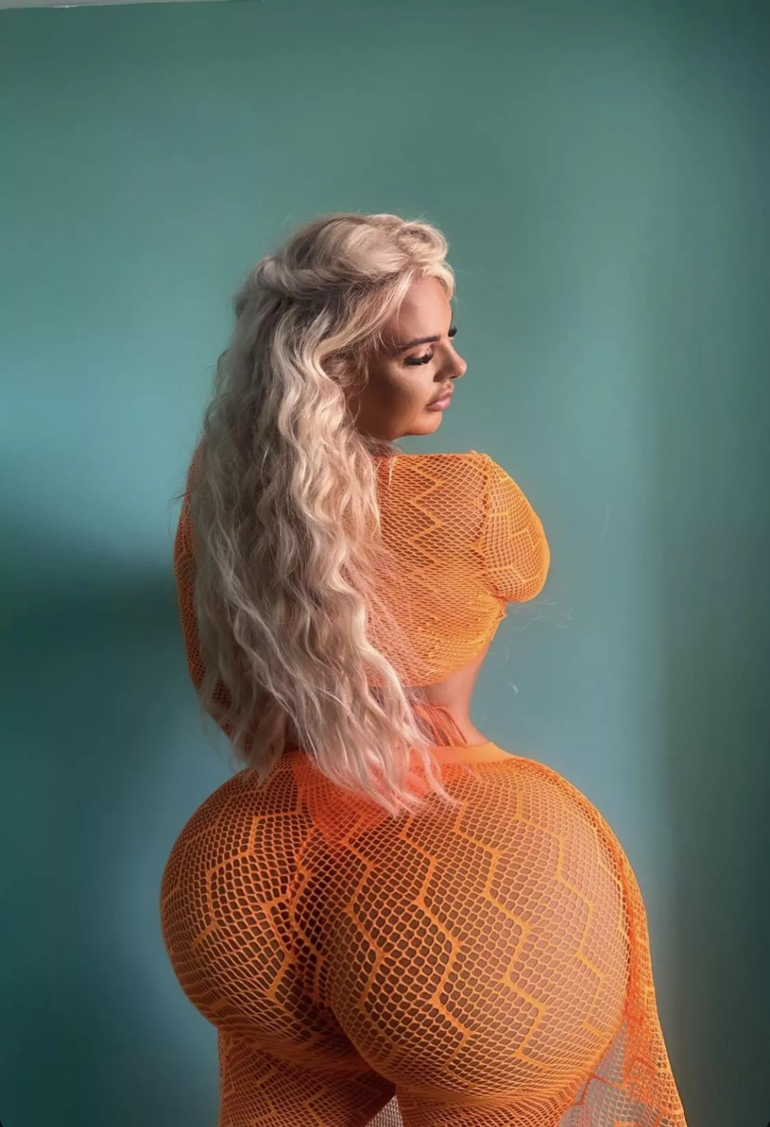 Orange to brighten your day 