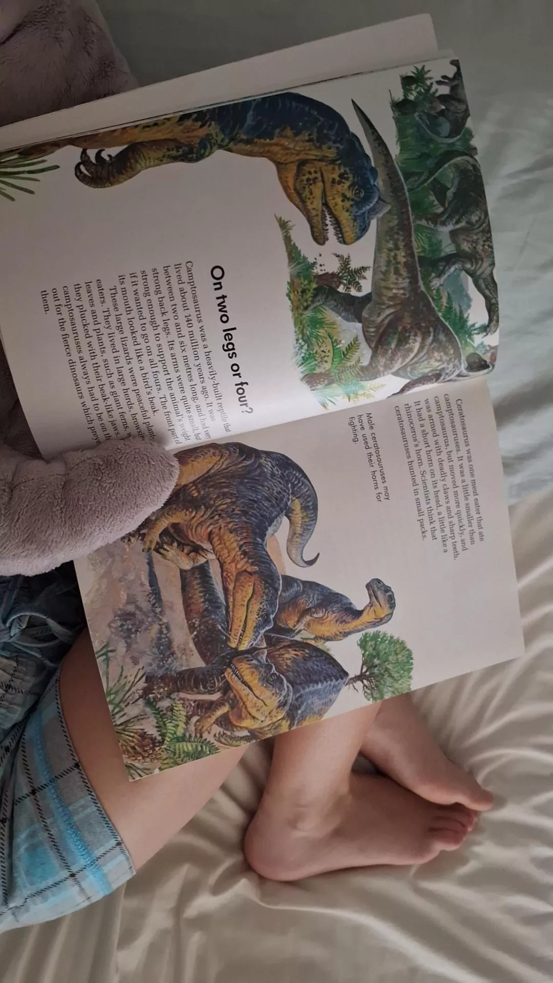 Rawr! 🦕 Two legs for me🤭