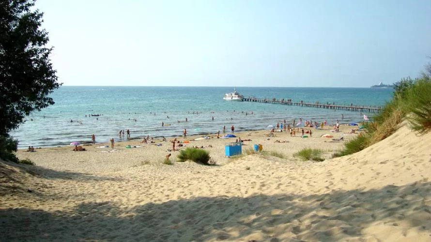 It's beautiful in the south ❤️😍