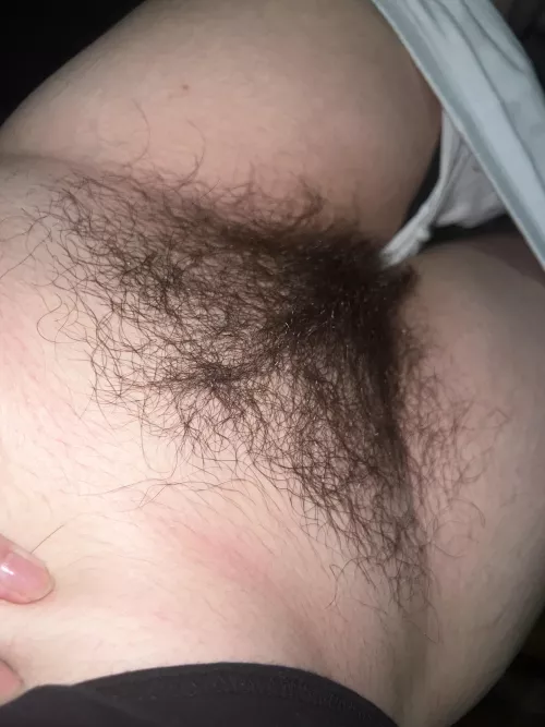 a thick dark bush like mine is hard to find👀