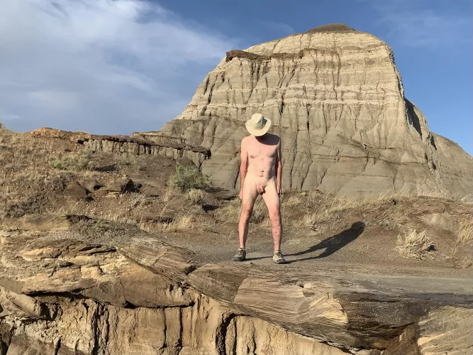 Dinosaur Provincial Park