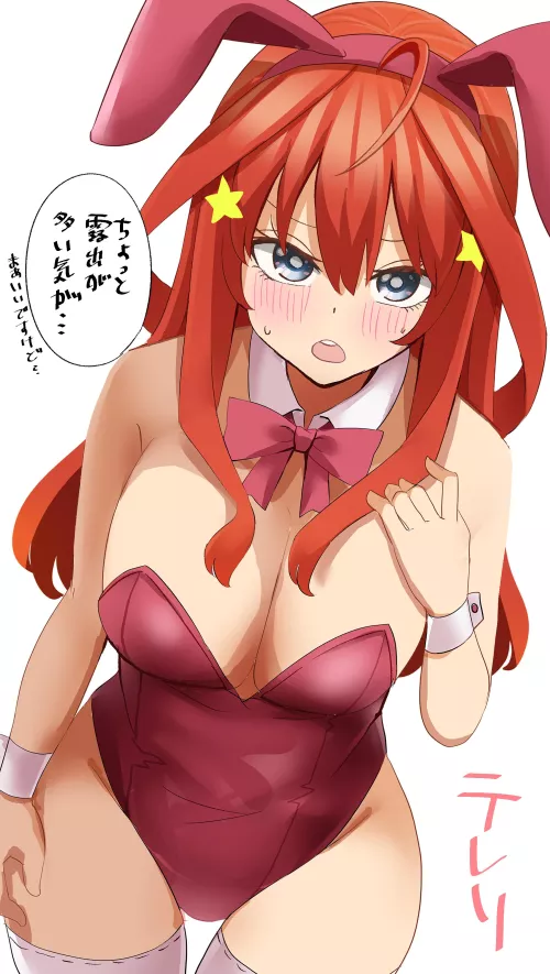 Itsuki's Revealing Bunny Girl Outfit (Quintessential Quintuplets)