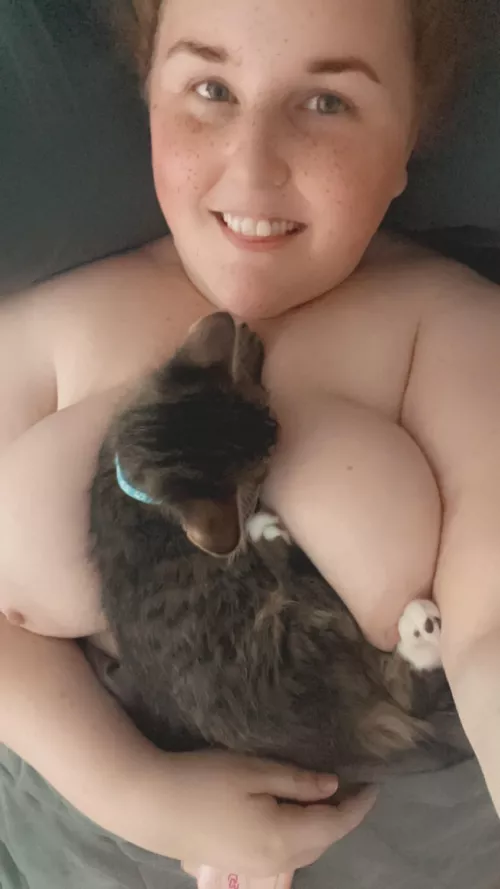 Kitties and Titties
