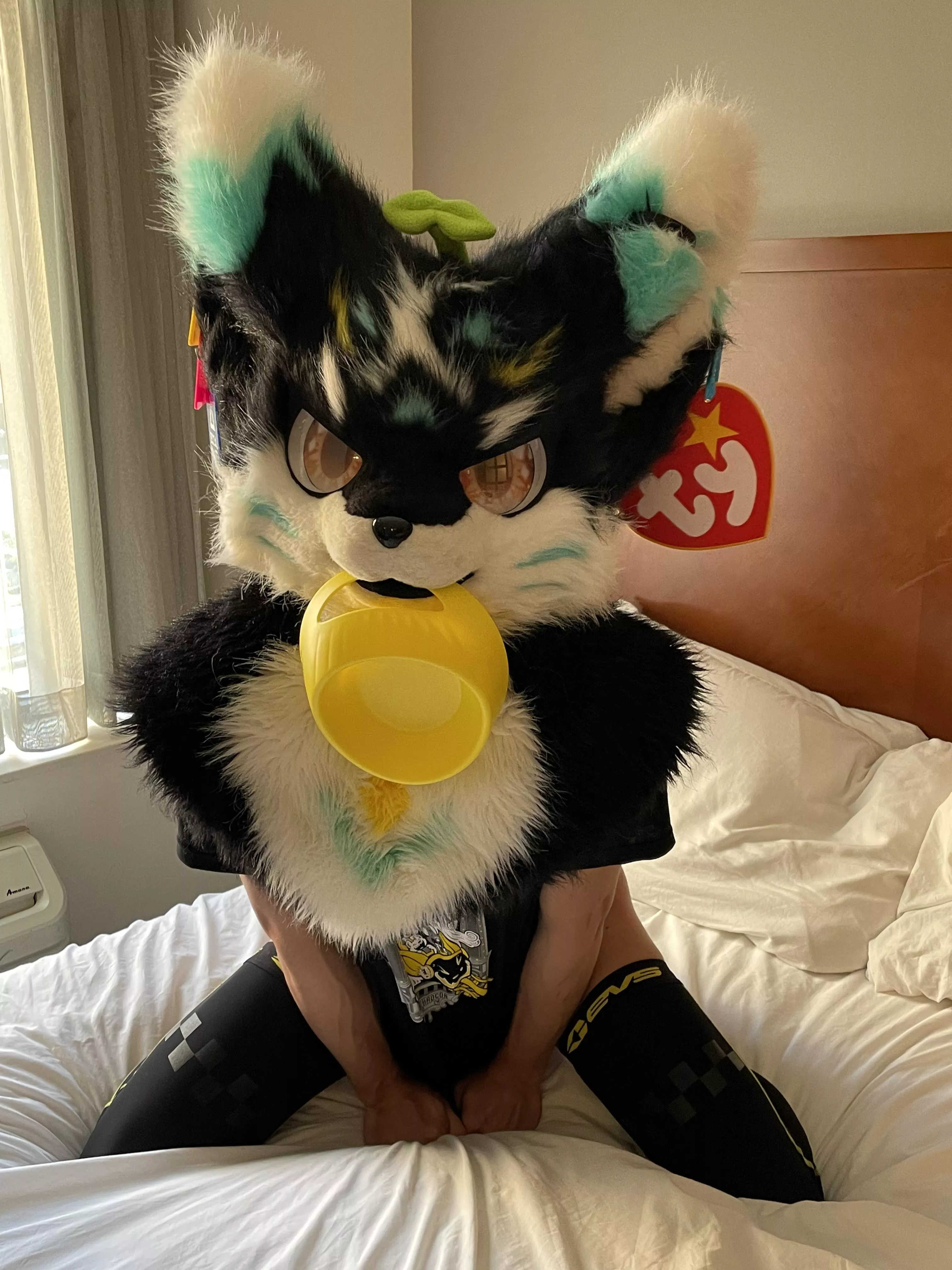 Kittys got there bowl, now just to add milk 