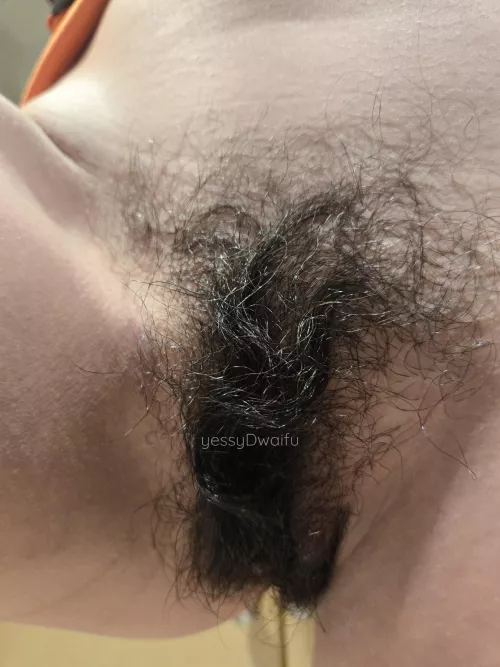 my panties combed my bush.. do you like it? 