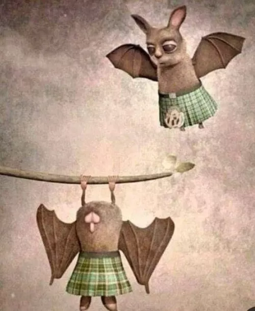 Scottish bats