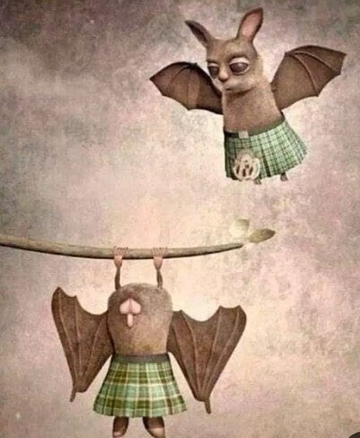Scottish bats