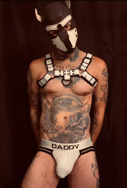 New pup in the pound 