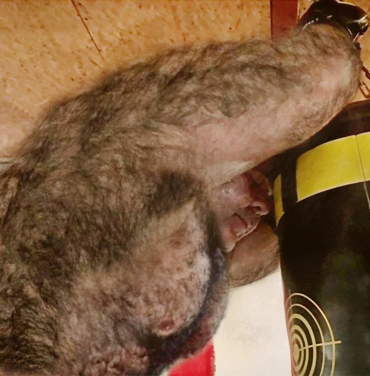 This fucking stud I found on Tumblr. 🥵