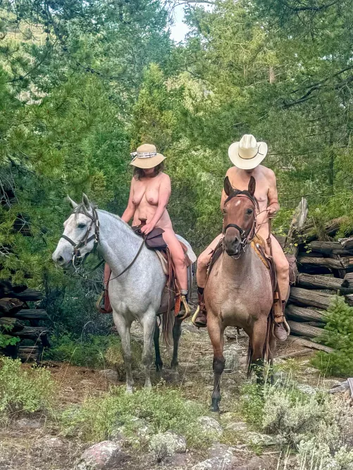 A little horsing Around 🌲