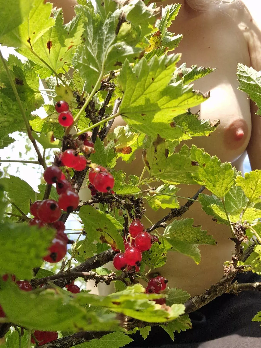Can you identify these berries? 🍒