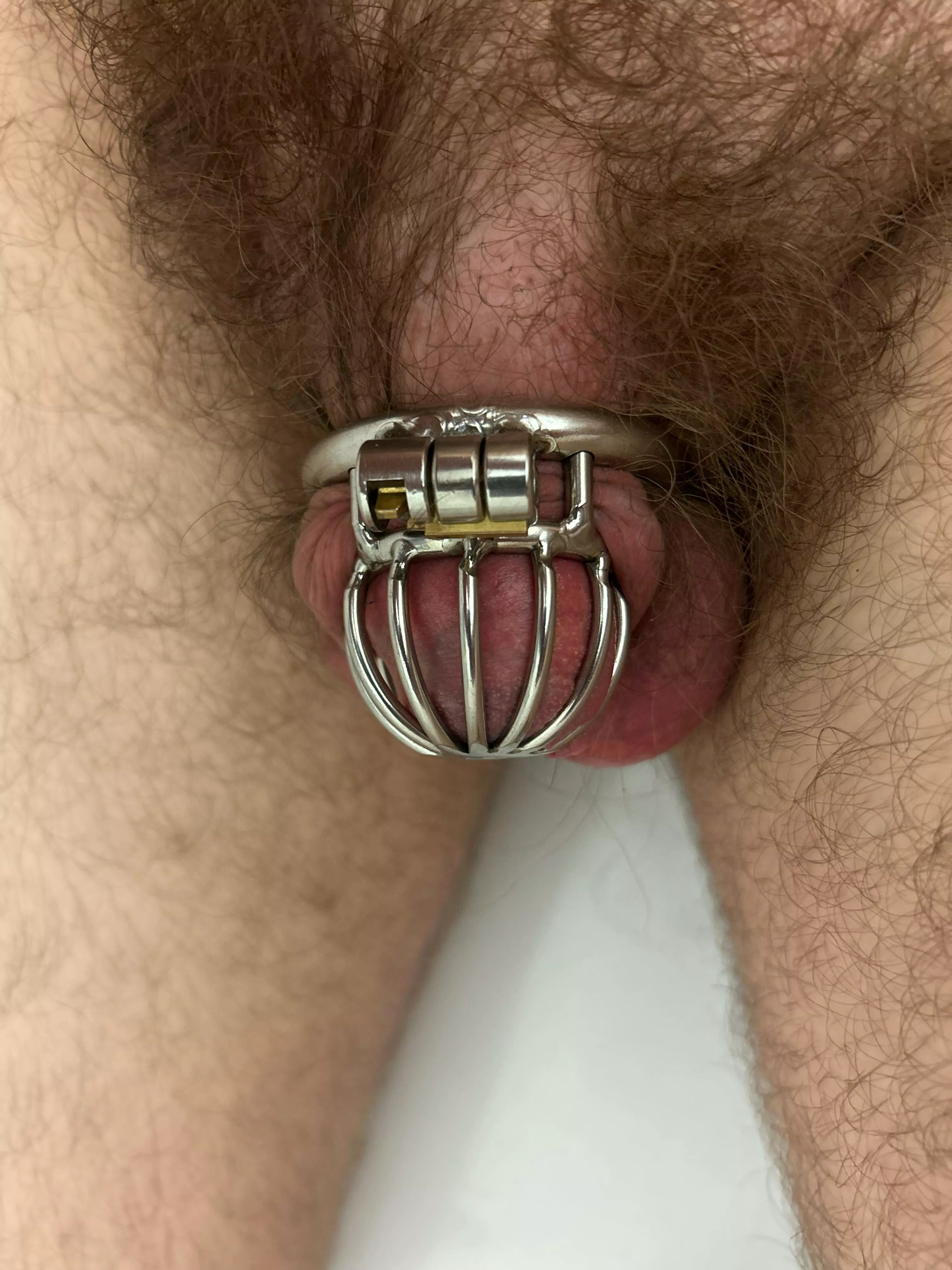 finally got inside the smaller cage