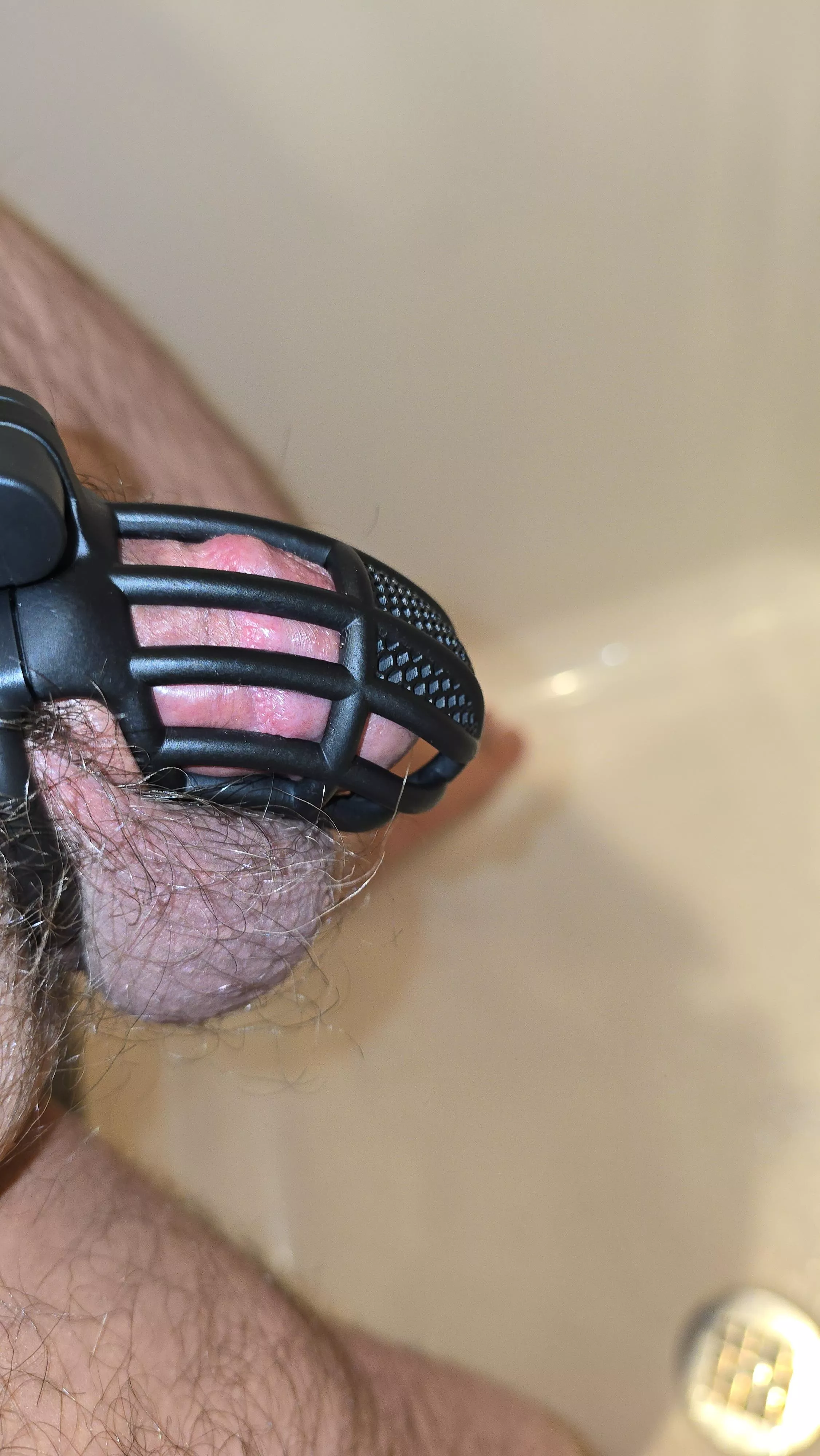 First time in a cage.