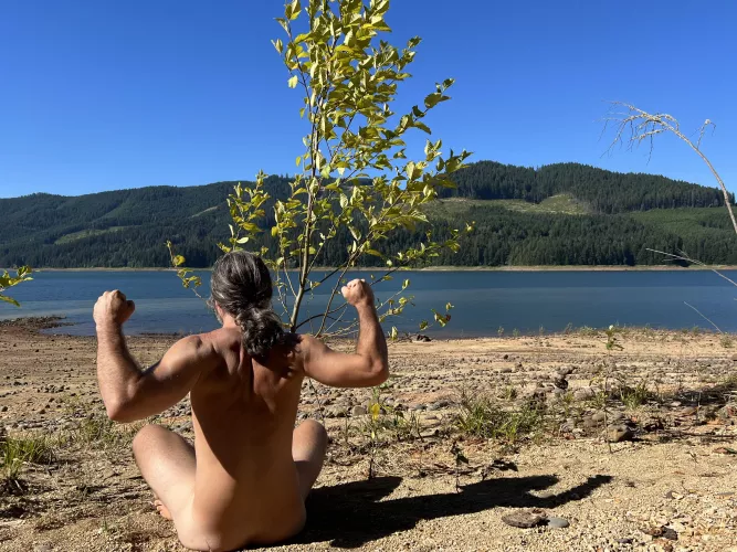 I am my spirit animal