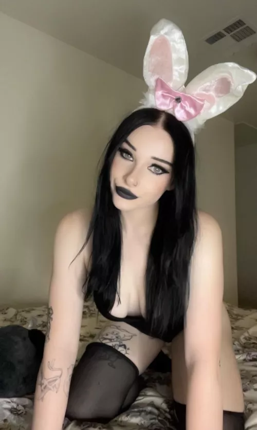 I wanna be your goth bunny 