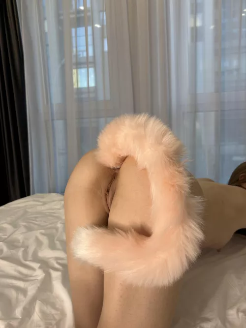 The cat loves to play with her owner