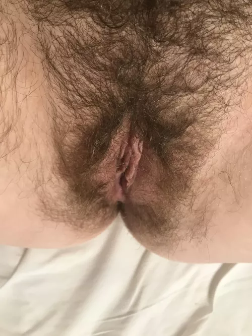 Thoughts on this hairy pussy 