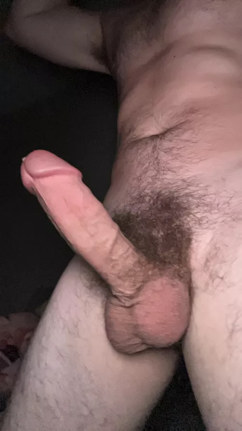 Would you put your face in my Bush?