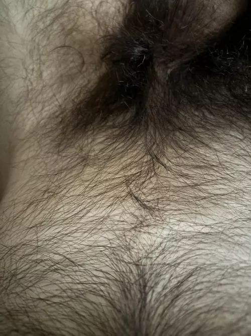 21 I think I’m half ape