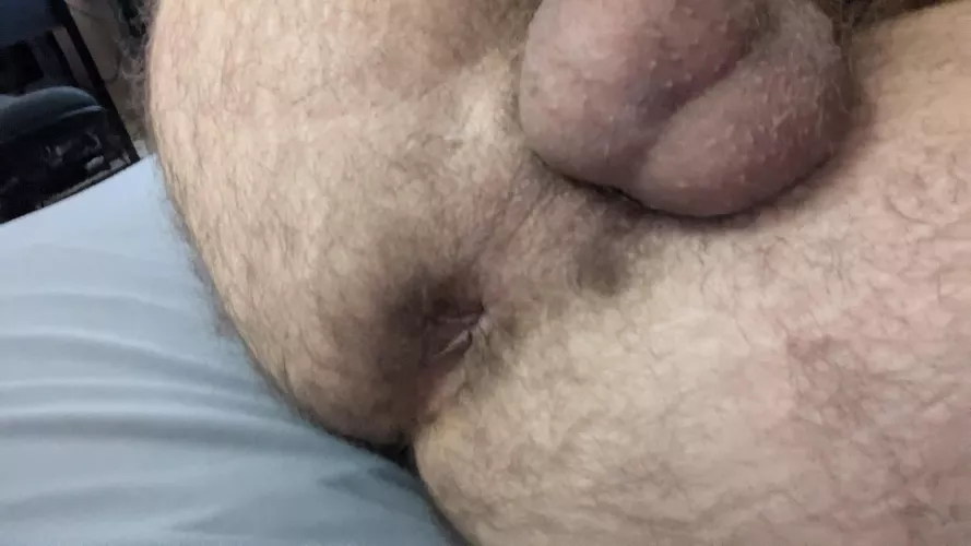 (25) would you breed this hole?