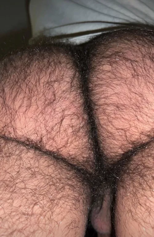 [30] HAIRY (Prefer Smooth or Hairy Beef?)
