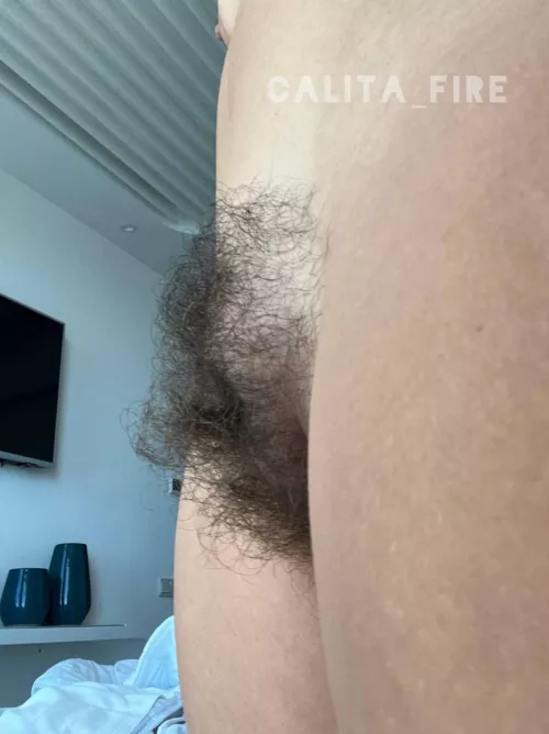 A bushy pussy is a happy pussy