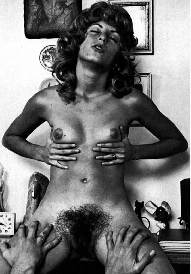 Artsy Small boobs and Bush photo from the 70’s 