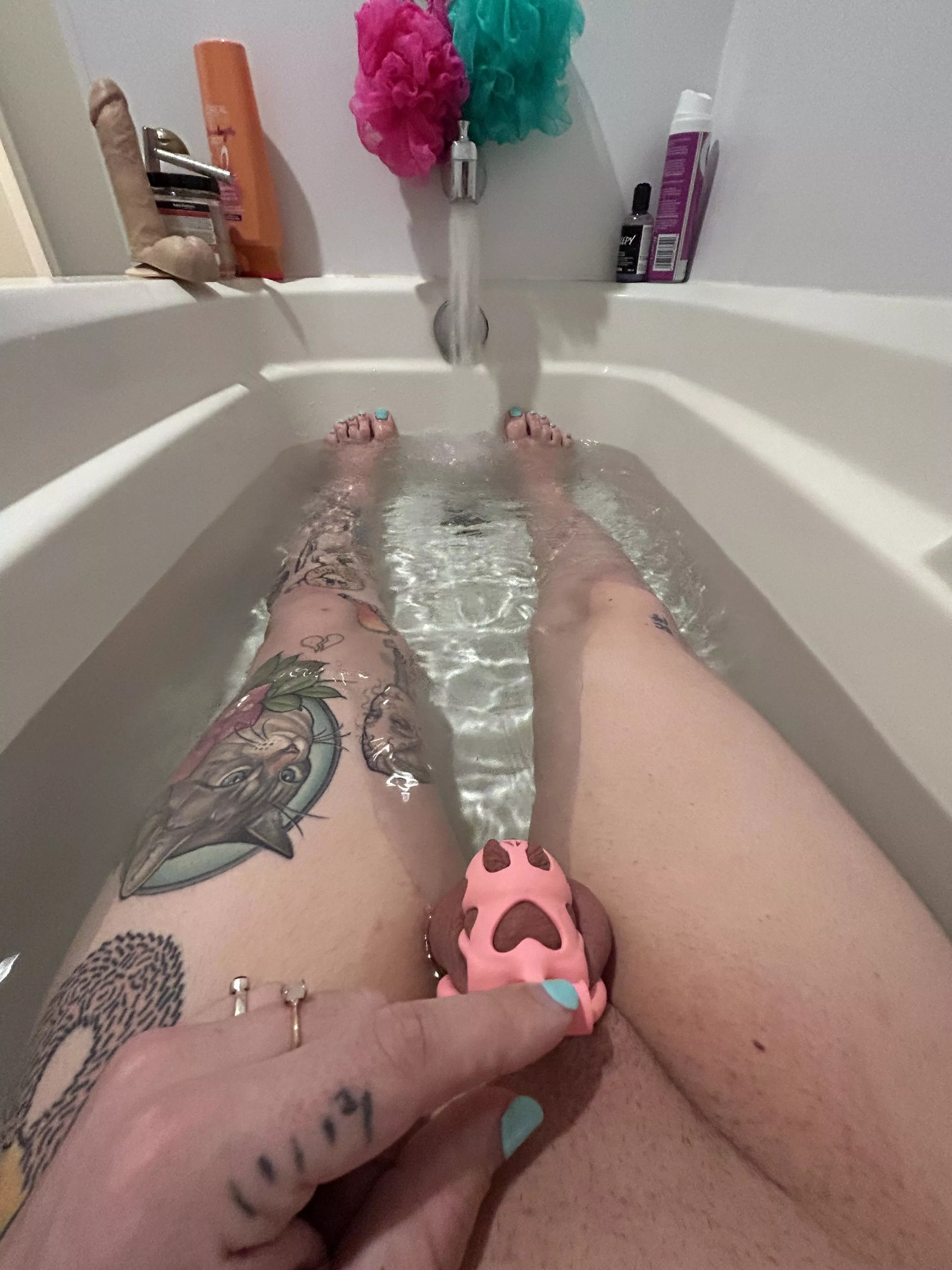 Caged in the bathtub 😸 Caged in the bathtub 😸